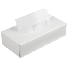 Салфетки бумажные косметические, 21х21 см, 2-слойные, 100 листов