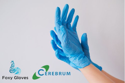 Профессиональная защита рук с перчатками Foxy Gloves и Cerebrum