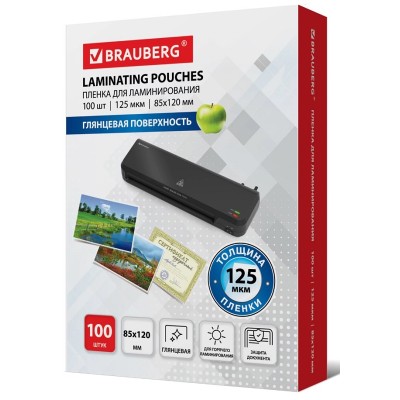 Пленки-заготовки для ламинирования 85x120 мм (530901) 125 мкм, 100 шт Пленки-заготовки для ламинирования 85x120 мм (530901) 125 мкм, 100 шт